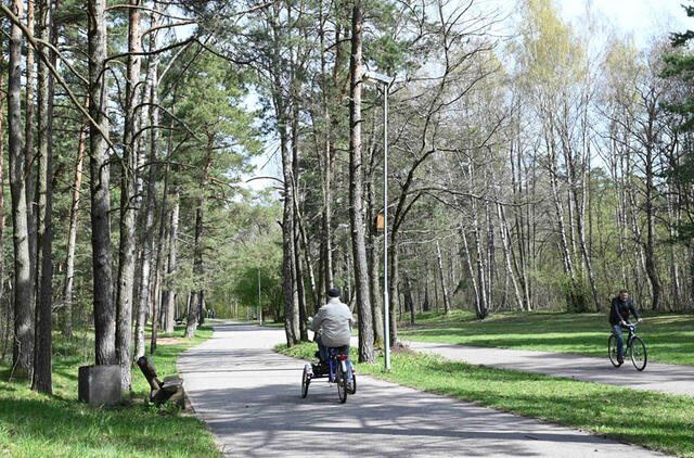 NUŠVIS. Nuo Vasaros estrados iki pat Girulių vedančiame dviračių take senąjį apšvietimą pakeistus „lediniu“, klaipėdiečiai ir poilsiautojai dar saugiau temstant galės minti prie jūros ar nuo jos grįžti į namus. Vitos JUREVIČIENĖS nuotr.