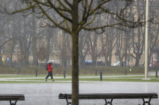 Lietus. Mariaus Morkevičiaus (ELTA) nuotr.