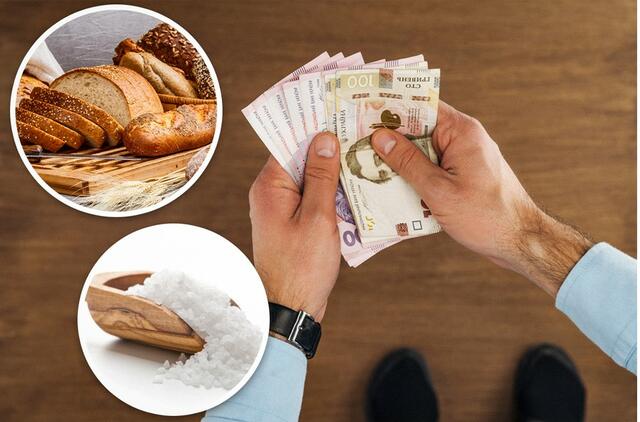 Ko negalima skolinti