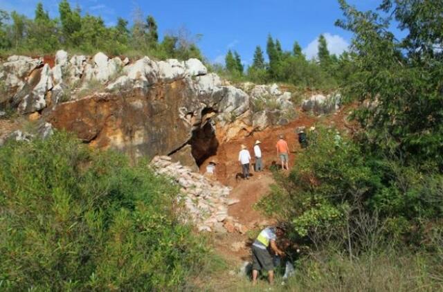 Kinijos urve rastų paslaptingų fosilijų tapatybę atskleidė DNR analizė