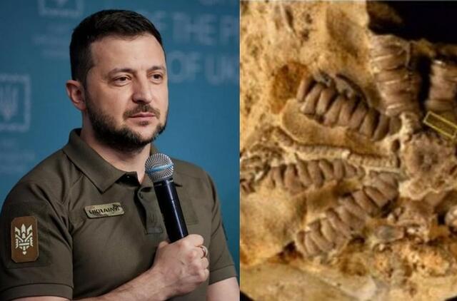 Mokslininkai rado naują senovinę jūros būtybių rūšį