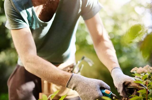 Kurie Zodiako ženklai nebijo sunkaus fizinio darbo?