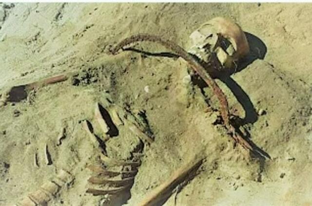 Lenkijoje XVII a. kapinėse aptiktas "vampyrės" skeletas