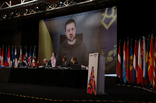 Zelenskis: nėra srities, kurioje Ukraina nejaustų Lietuvos paramos