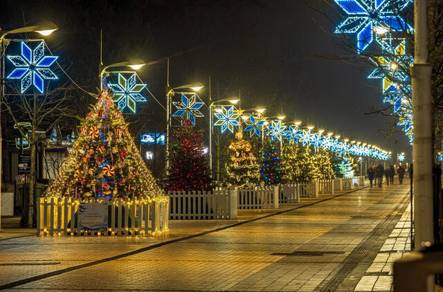 Kalėdų alėja Palangoje jau kuria savo istoriją