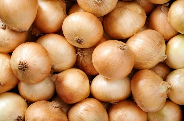 Vaistas per naktį: pakiškite svogūną po pagalve ir pamiršite ligą