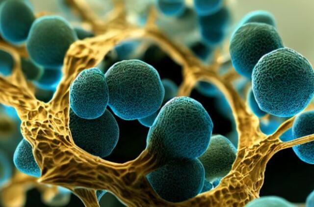 Pavojingiausi Žemės grybeliai