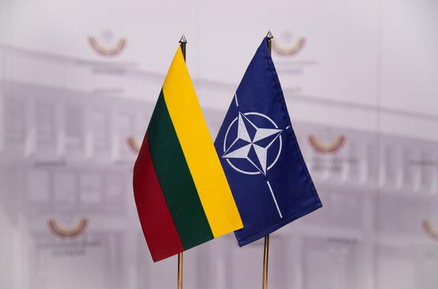 Seimas tvirtins siekį, kad Ukraina per viršūnių susitikimą būtų pakviesta į NATO