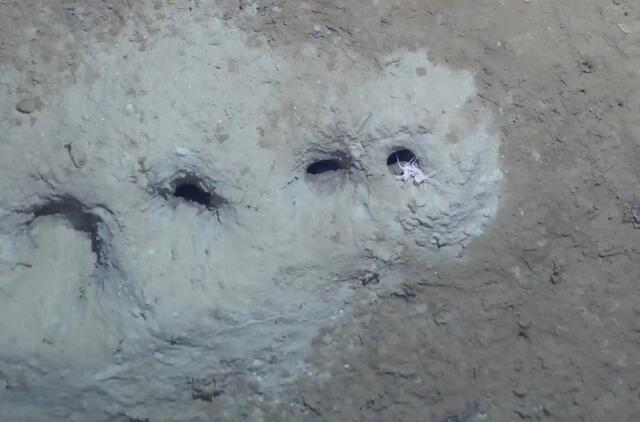 Pavyko įminti paslaptingų skylių jūros dugne paslaptį