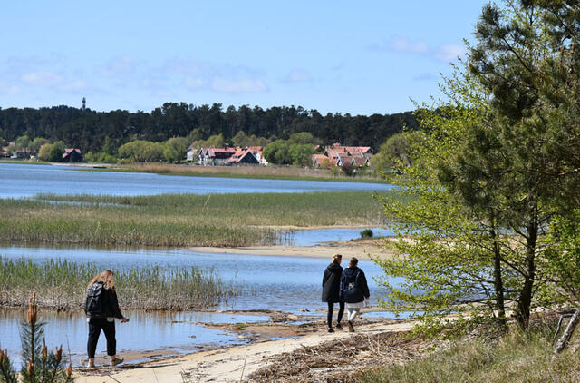 Neringos bendruomeninių organizacijų projektams įgyvendinti skirti 3 433 eurai. Neringos savivaldybės nuotr.