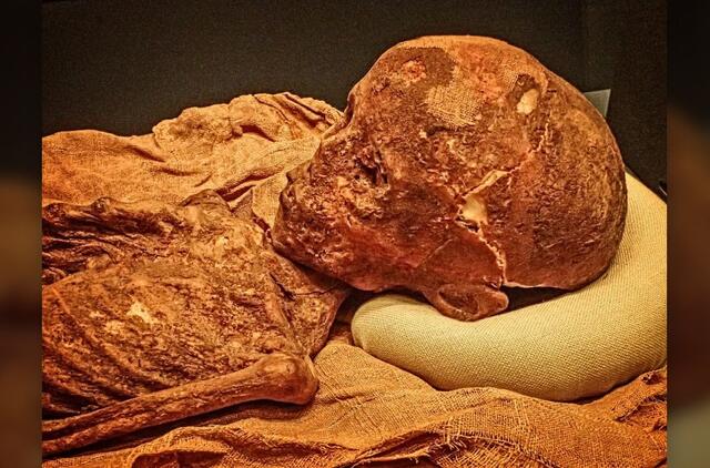 Romėnų-egiptiečių vaiko mumija iš Egipto Ptolemėjų laikotarpio