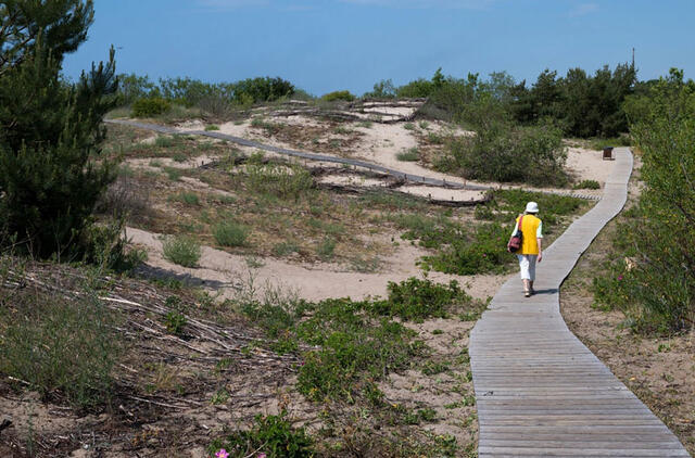 TAKAS per kopas tapo nesantaikos tarp vyrų ir moterų priežastimi. Vitos JUREVIČIENĖS nuotr.