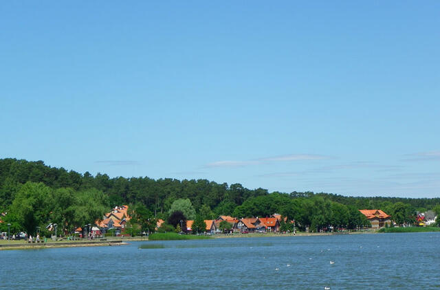 BŪTINAS. Medžių šalinimas būtinas, norint esamoje Juodkrantės aktyvaus laisvalaikio zonoje įrengti lauko krepšinio aikštelę.