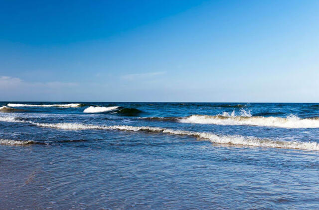  FESTIVALIO renginiai vyks pajūryje - Nidos Šiauriniame paplūdimyje.