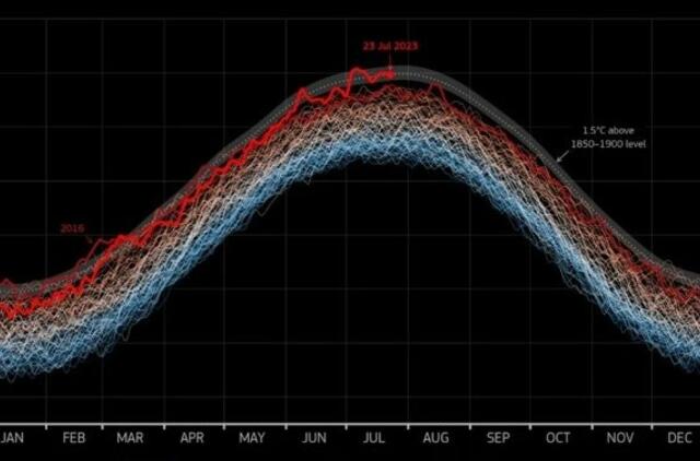 Vidutinės temperatūros grafikas