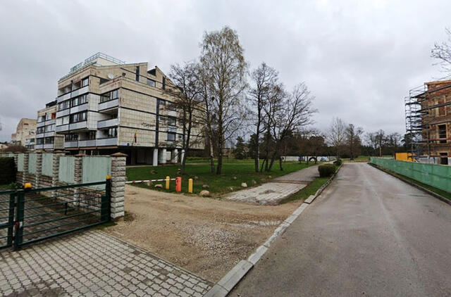 MEDŽIAI. Dizaineris Juozas Statkevičius ėmėsi vadovauti kaimynų grupei, kuri siekia išsaugoti berželius Palangoje. „Google maps“ nuotr.