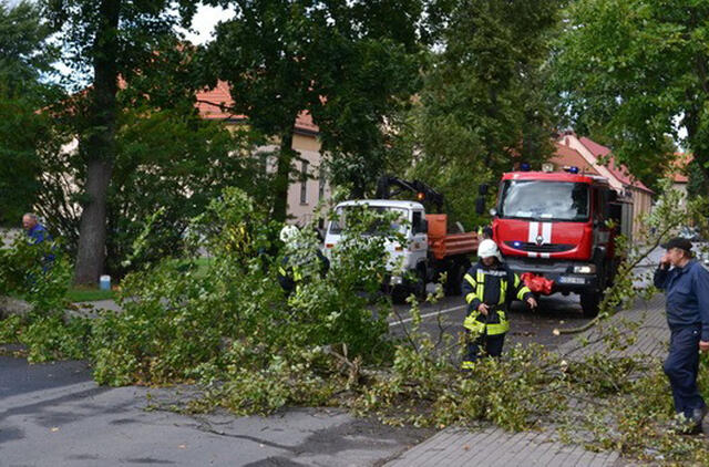 Ugniagesiai 112 kartų vyko šalinti audros nuverstų medžių