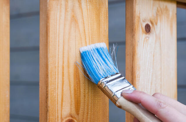 Kaip tinkamai dažyti medieną?