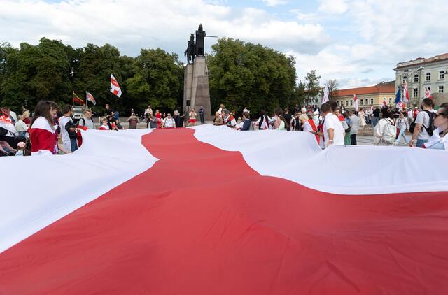 Baltarusijos vėliava
