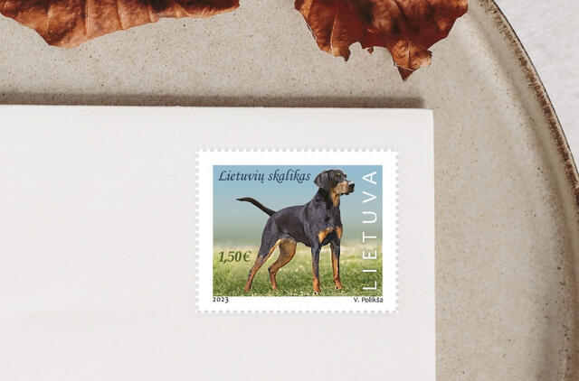 Lietuvos paštas išleidžia pašto ženklą „Lietuvių skalikas"