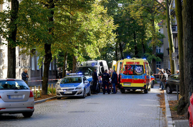 Lenkijoje nudurtas penkiametis vaikas