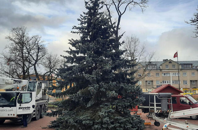 ŽĖRĖS. Kretingiškiai nori skleisti Kalėdų aurą visoje Lietuvoje. Kretingos rajono savivaldybės nuotr.