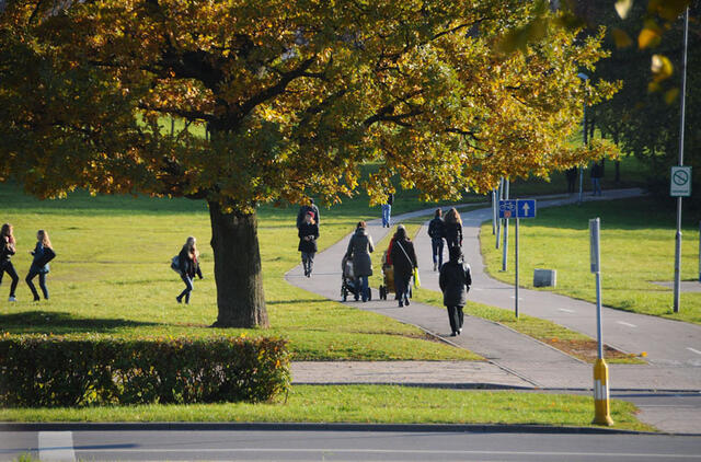AIKŠTELĖ. Draugystės parke bus įrengta daugiausia klaipėdiečių simpatijų pelniusi žaidimų ir lauko muzikos instrumentų aikštelė. Asociatyvi redakcijos archyvo nuotr.