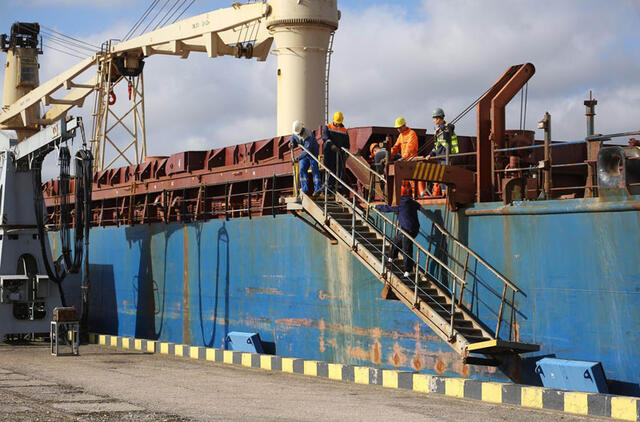 LYGIS. Nustatant jūrų laivo rizikos lygį laikomasi nuostatos, kad senesni kaip dvylikos metų laivai kelia didesnę riziką. Asociatyvi Egidijaus JANKAUSKO nuotr.