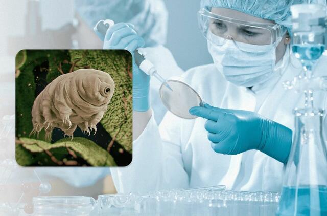 Žmogaus senėjimo procesas